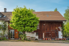 Waengi-Kalchbuehlstrasse-8252